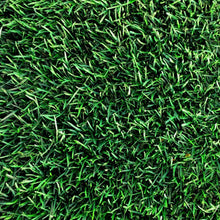 Load image into Gallery viewer, Kentucky Bluegrass Seed - Native Lawn Delivery