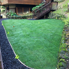 Load image into Gallery viewer, Kentucky Bluegrass Seed - Native Lawn Delivery