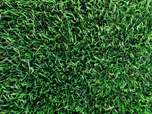 Load image into Gallery viewer, 100% Bluegrass sod