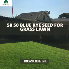 Load image into Gallery viewer, blue rye grass seed 50 50
