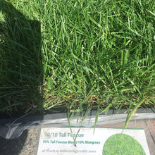 Load image into Gallery viewer, 90 10 tall fescue