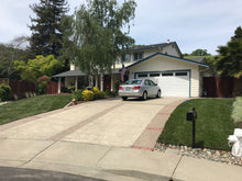 Load image into Gallery viewer, 9010 fescue sod