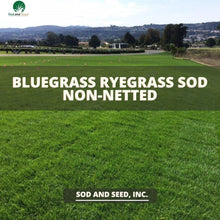 Load image into Gallery viewer, Best grass bluegrass rye grass non netted sod