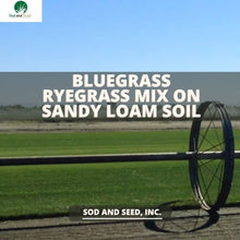 Load image into Gallery viewer, Bluegrass Ryegrass Mix on Sandy Loam Base