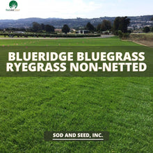 Load image into Gallery viewer, Bluegrass Ryegrass Non-Netted