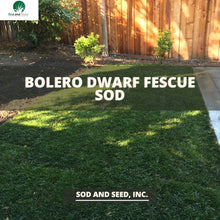 Load image into Gallery viewer, Bolero Sod Best Dwarf Fescue Grass