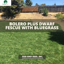 Load image into Gallery viewer, Bolero Plus Sod Dwarf Fescue with Bluegrass