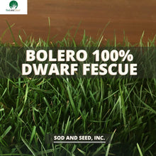 Load image into Gallery viewer, 100% Dwarf Fescue