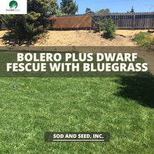 Load image into Gallery viewer, Dwarf Fescue with Bluegrass