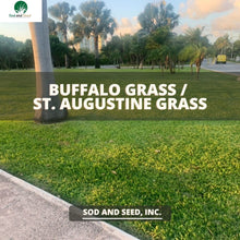 Load image into Gallery viewer, buffalo grass sod
