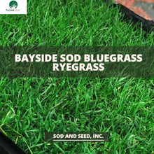 Load image into Gallery viewer, bayside sod bluegrass ryegrass