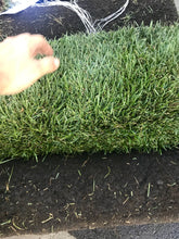 Load image into Gallery viewer, Best grass for California