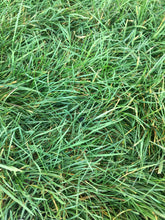 Load image into Gallery viewer, Native Biofiltration Sod and Seed