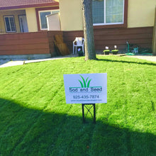 Load image into Gallery viewer, blue-rye grass seed