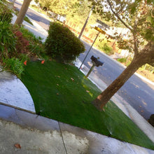 Load image into Gallery viewer, Kentucky Bluegrass Seed - Native Lawn Delivery