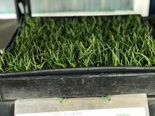 Load image into Gallery viewer, Bluegrass sod farm
