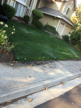 Load image into Gallery viewer, Bluegrass with rye sod