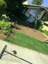 Load image into Gallery viewer, Bluegrass with ryegrass sod