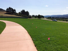 Load image into Gallery viewer, blueridge sod bluegrass ryegrass