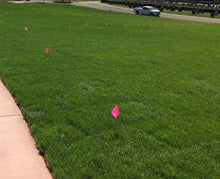 Load image into Gallery viewer, blueridge no plastic grass