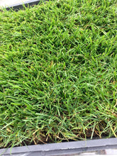 Load image into Gallery viewer, Blueridge sod