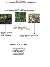 Load image into Gallery viewer, Blue grass rye grass