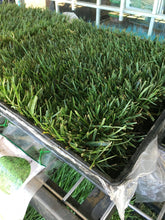 Load image into Gallery viewer, Bolero next to bolero plus