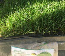 Load image into Gallery viewer, Bolero 100 percent dwarf fescue