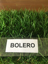 Load image into Gallery viewer, bolero sod dwarf fescue