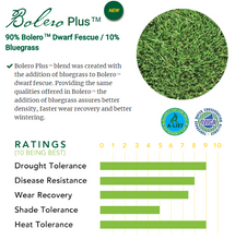 Load image into Gallery viewer, Bolero Plus reviews