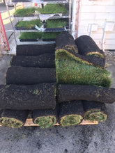 Load image into Gallery viewer, Bolero plus sod and seed