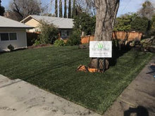 Load image into Gallery viewer, Bolero plus seed