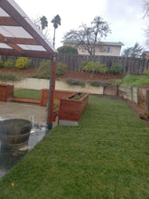 Load image into Gallery viewer, Kentucky Bluegrass seed for sale with Bolero Dwarf