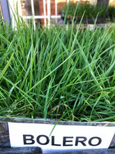 Load image into Gallery viewer, Bolero Sod Delivery