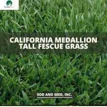 Load image into Gallery viewer, Best Tall Fescue Sod