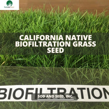Load image into Gallery viewer, California Native Biofiltration Grass Seed - Native Lawn Delivery