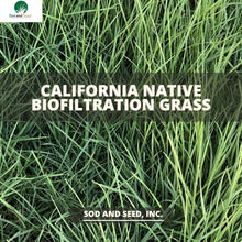 Load image into Gallery viewer, California Native Biofiltration Sod
