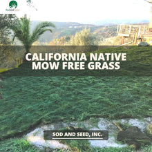 Load image into Gallery viewer, Best California Native Mow Free Sod
