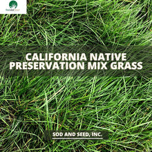 Load image into Gallery viewer, California Native Preservation Mix Grass