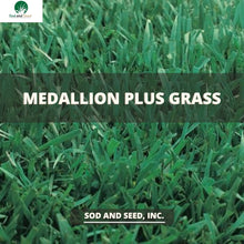 Load image into Gallery viewer, medallion plus fescue sod