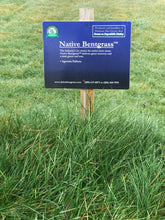 Load image into Gallery viewer, Native Bentgrass sod farm