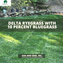 Load image into Gallery viewer, Perennial Rye Grass with Kentucky Bluegrass
