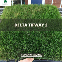 Load image into Gallery viewer, Delta Tifway 2