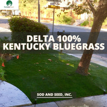 Load image into Gallery viewer, Delta Bluegrass