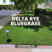 Load image into Gallery viewer, Perennial Ryegrass Kentucky Bluegrass