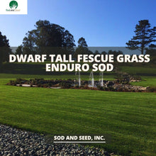 Load image into Gallery viewer, Best Dwarf Tall Fescue Grass Enduro Sod