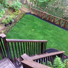 Load image into Gallery viewer, Kentucky Bluegrass Seed - Native Lawn Delivery