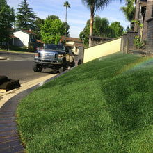 Load image into Gallery viewer, Kentucky Bluegrass Seed - Native Lawn Delivery