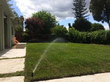 Load image into Gallery viewer, Delta 9010 tall fescue seed