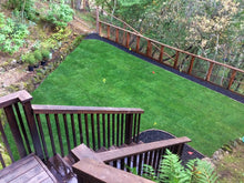 Load image into Gallery viewer, Delta Bluegrass sod install